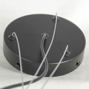 Подвесная люстра Lussole LSP-875 LSP-8750 в Покачах - pokachi.mebel24.online | фото 5