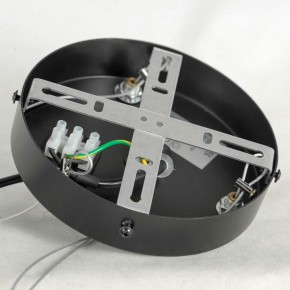 Подвесная люстра Lussole LSP-875 LSP-8750 в Покачах - pokachi.mebel24.online | фото 7