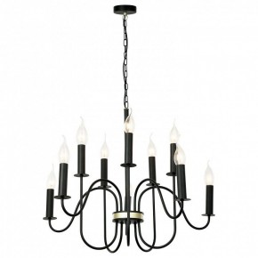 Подвесная люстра Lussole Roosevelt LSP-8198 в Покачах - pokachi.mebel24.online | фото 2