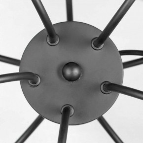Подвесная люстра Lussole Roosevelt LSP-8198 в Покачах - pokachi.mebel24.online | фото 4