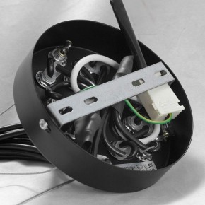 Подвесная люстра Lussole Seneca GRLSP-8177 в Покачах - pokachi.mebel24.online | фото 10