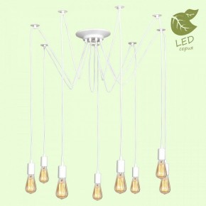 Подвесная люстра Lussole Shirley GRLSP-8173 в Покачах - pokachi.mebel24.online | фото 3