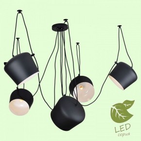 Подвесная люстра Lussole Shirley GRLSP-9919 в Покачах - pokachi.mebel24.online | фото