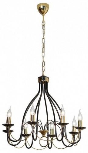 Подвесная люстра Lussole Todi GRLSA-4613-08 в Покачах - pokachi.mebel24.online | фото 3