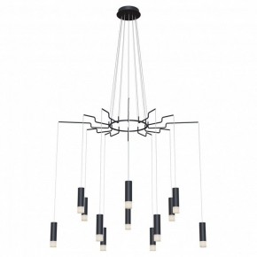 Подвесная люстра Maytoni Davida MOD035PL-12B в Покачах - pokachi.mebel24.online | фото 2