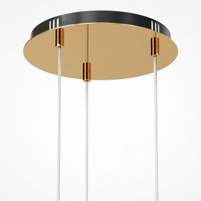Подвесная люстра Maytoni Drop MOD273PL-L33G3K в Покачах - pokachi.mebel24.online | фото 6