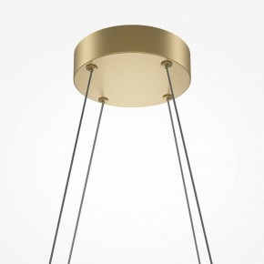 Подвесная люстра Maytoni Halo MOD244PL-L50BSK в Покачах - pokachi.mebel24.online | фото 4