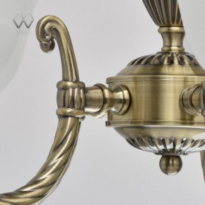 Подвесная люстра MW-Light Ариадна 20 450016305 в Покачах - pokachi.mebel24.online | фото 10