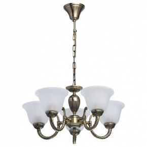 Подвесная люстра MW-Light Ариадна 20 450016305 в Покачах - pokachi.mebel24.online | фото 2