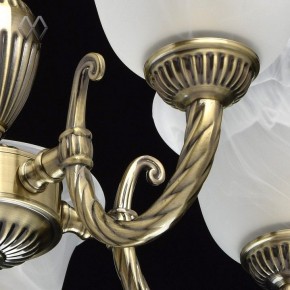 Подвесная люстра MW-Light Ариадна 20 450016305 в Покачах - pokachi.mebel24.online | фото 6