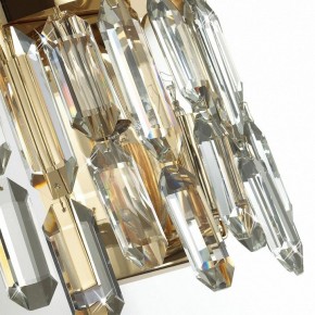 Подвесная люстра Odeon Light Dakisa 4986/12 в Покачах - pokachi.mebel24.online | фото 8