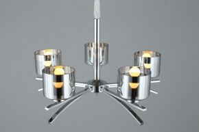 Подвесная люстра Omnilux Alassio OML-55803-05 в Покачах - pokachi.mebel24.online | фото 5