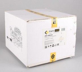 Подвесная люстра Omnilux Malito OML-79903-04 в Покачах - pokachi.mebel24.online | фото 5