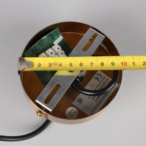 Подвесная люстра Omnilux Trevasco OML-59603-12 в Покачах - pokachi.mebel24.online | фото 10
