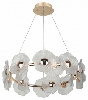Подвесная люстра Rivoli Shannon Б0061947 в Покачах - pokachi.mebel24.online | фото 4