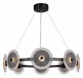 Подвесная люстра ST-Luce ALUMNO SL6142.443.01 в Покачах - pokachi.mebel24.online | фото 2
