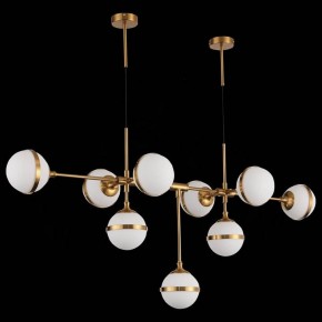 Подвесная люстра ST-Luce Arbe SL1157.303.09 в Покачах - pokachi.mebel24.online | фото 4