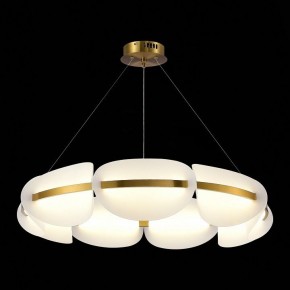 Подвесная люстра ST-Luce Etoile SL1304.203.56 в Покачах - pokachi.mebel24.online | фото 4