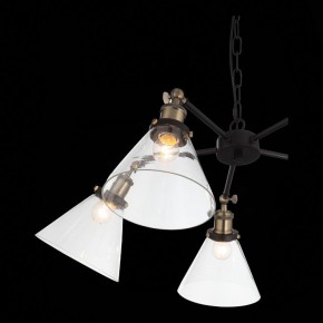 Подвесная люстра ST-Luce Evoluto SL237.413.05 в Покачах - pokachi.mebel24.online | фото 7
