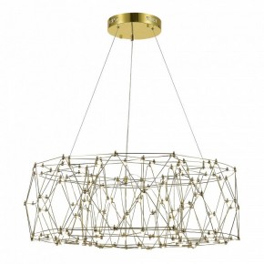 Подвесная люстра ST-Luce Gravetta SL6602.203.48 в Покачах - pokachi.mebel24.online | фото 3