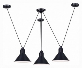 Подвесная люстра ST-Luce Svevo SL1804.403.03 в Покачах - pokachi.mebel24.online | фото 2