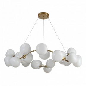 Подвесная люстра ST-Luce Sweven SL1519.303.24 в Покачах - pokachi.mebel24.online | фото 2