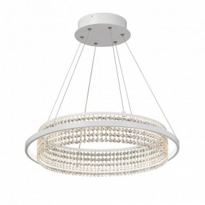 Подвесная люстра Vitaluce V5400 V5400-0/1S в Покачах - pokachi.mebel24.online | фото 2