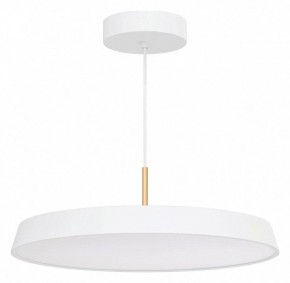 Подвесной светильник Arlight ELEGANT 033924(1) в Покачах - pokachi.mebel24.online | фото 2