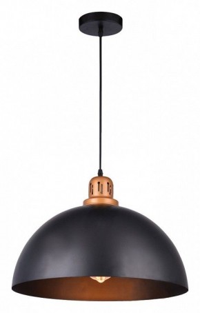 Подвесной светильник Arte Lamp Eurica A4249SP-1BK в Покачах - pokachi.mebel24.online | фото 2