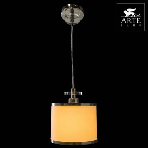 Подвесной светильник Arte Lamp Furore A3990SP-1CC в Покачах - pokachi.mebel24.online | фото 3