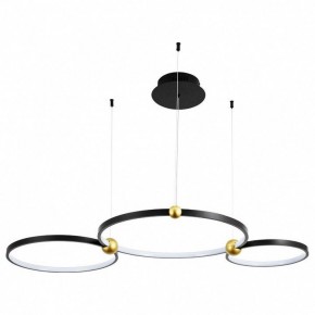 Подвесной светильник Divinare Amadeo 1123/04 SP-75 в Покачах - pokachi.mebel24.online | фото