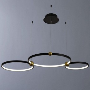 Подвесной светильник Divinare Amadeo 1123/04 SP-75 в Покачах - pokachi.mebel24.online | фото 2