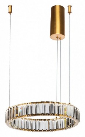 Подвесной светильник Divinare Renata 1135/17 SP-25 в Покачах - pokachi.mebel24.online | фото 2