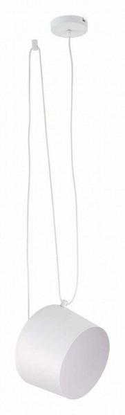 Подвесной светильник EVOLUCE Trieste SLE120653-01 в Покачах - pokachi.mebel24.online | фото 2