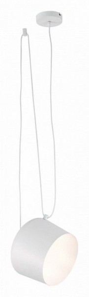 Подвесной светильник EVOLUCE Trieste SLE120653-01 в Покачах - pokachi.mebel24.online | фото 3