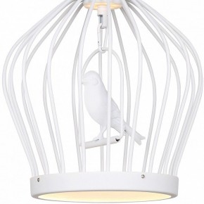 Подвесной светильник Favourite Chick 1931-2P в Покачах - pokachi.mebel24.online | фото 3