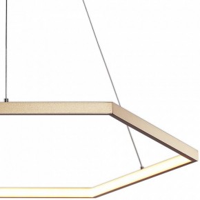Подвесной светильник Favourite Hexagon 2103-6P в Покачах - pokachi.mebel24.online | фото 3