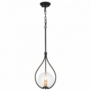 Подвесной светильник Favourite Kessel 1905-1P в Покачах - pokachi.mebel24.online | фото 2