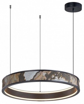 Подвесной светильник Favourite Lago 4598-1P в Покачах - pokachi.mebel24.online | фото 2