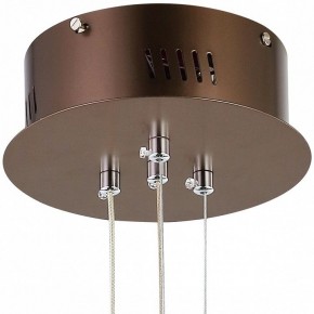 Подвесной светильник Favourite Saturn 2102-2P в Покачах - pokachi.mebel24.online | фото 5