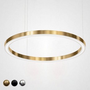 Подвесной светильник Imperiumloft Light Ring Horizontal 40.1454-120 в Покачах - pokachi.mebel24.online | фото