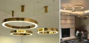 Подвесной светильник Imperiumloft Light Ring Horizontal 40.1454-60 в Покачах - pokachi.mebel24.online | фото 2