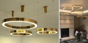 Подвесной светильник Imperiumloft Light Ring Horizontal 40.1454-60 в Покачах - pokachi.mebel24.online | фото 4