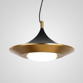 Подвесной светильник Imperiumloft Rask RASK01 в Покачах - pokachi.mebel24.online | фото 2