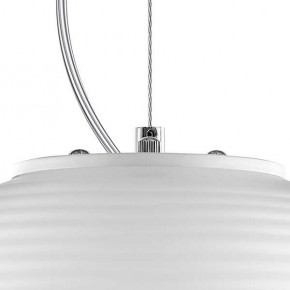 Подвесной светильник Lightstar Arnia 805011 в Покачах - pokachi.mebel24.online | фото 6
