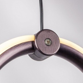 Подвесной светильник Lightstar Caramello 796139 в Покачах - pokachi.mebel24.online | фото 5