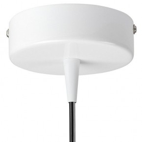 Подвесной светильник Lightstar Conicita 804110 в Покачах - pokachi.mebel24.online | фото 6
