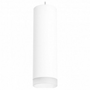 Подвесной светильник Lightstar Rullo RP649680 в Покачах - pokachi.mebel24.online | фото 2