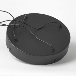 Подвесной светильник Lussole Macon LSP-7306 в Покачах - pokachi.mebel24.online | фото 5