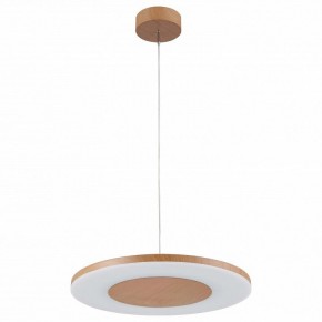 Подвесной светильник Mantra Discobolo 4493 в Покачах - pokachi.mebel24.online | фото 2